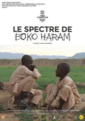 W cieniu Boko Haram
